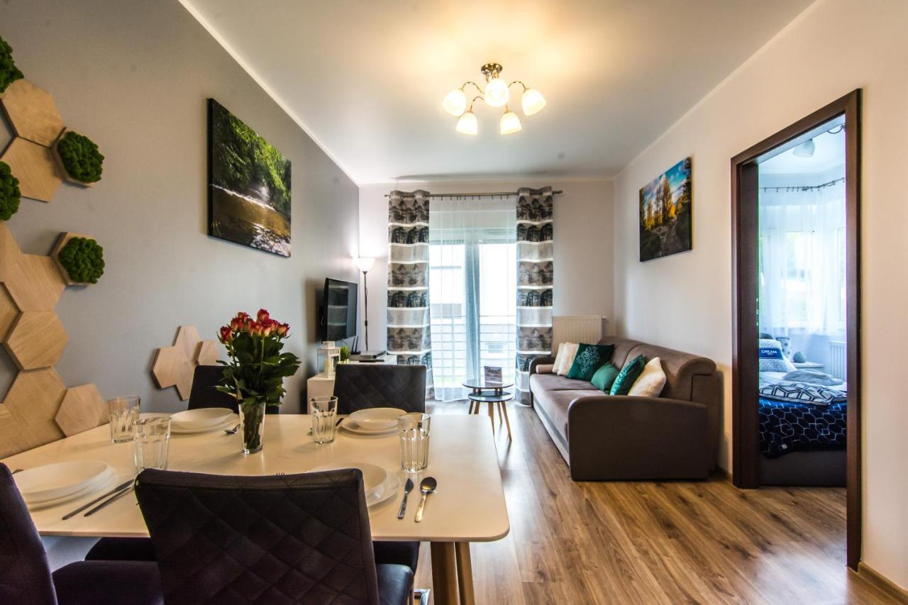 Apartamenty Izerskie - ul. Cicha 13H-I Świeradów-Zdrój Exterior foto